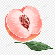 WWW,se388·COM网站APPAPP应用