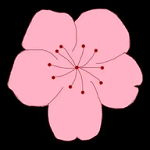 快播app